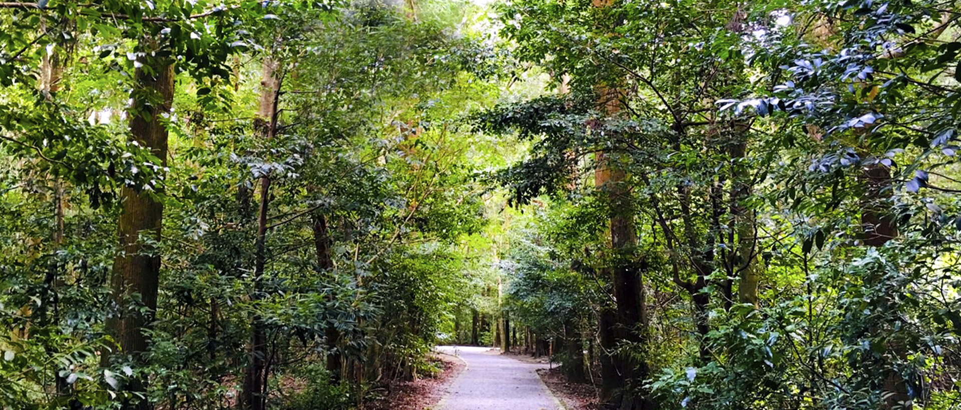 今野のヒーローの目指すイメージ01