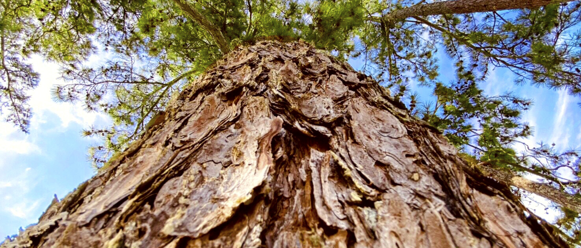 m今野のヒーローの目指すイメージ03